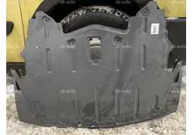 Защита двигателя BMW X5 E70 рестайлинг (ABS+PVC)