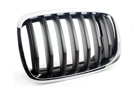 Решётка радиатора (левая часть) BMW X6 E71/E72