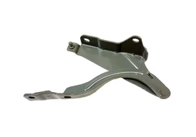 Петля капота правая Hyundai Elantra MD TYG