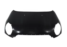 Капот Mini Countryman R60 