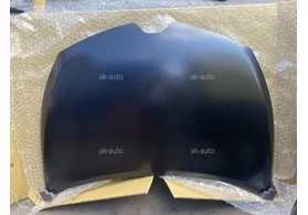 Капот Renault Clio IV TYG