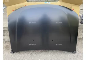 Капот Renault Duster I TYG