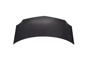 Капот Renault Kangoo II дорестайлинг TYG