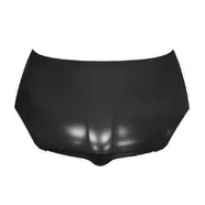 Капот Skoda Roomster 5J дорестайлинг (оцинкованный)