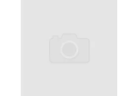 Решётка радиатора Honda Civic X 